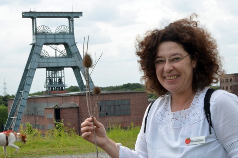 Anke Roßmannek bei einer Halden-Kräuterexpedition.