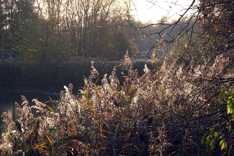 Herbstimpressionen.