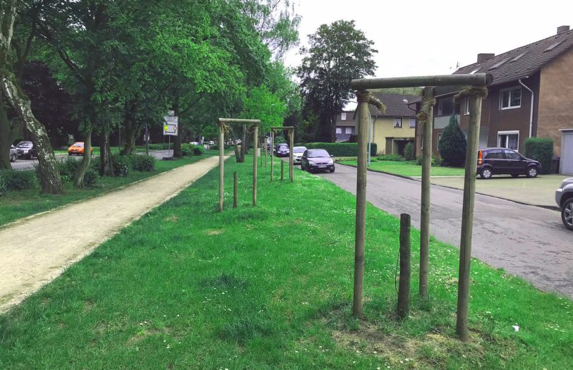 Mehrere abgesägte Bäume an der Von-Waldthausen-Straße.
