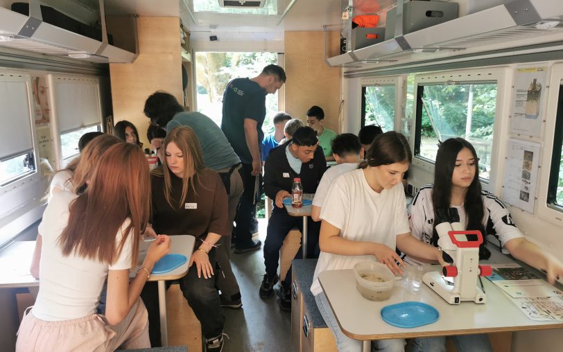 Unter Mikroskopen untersuchten die Schüler die Proben.