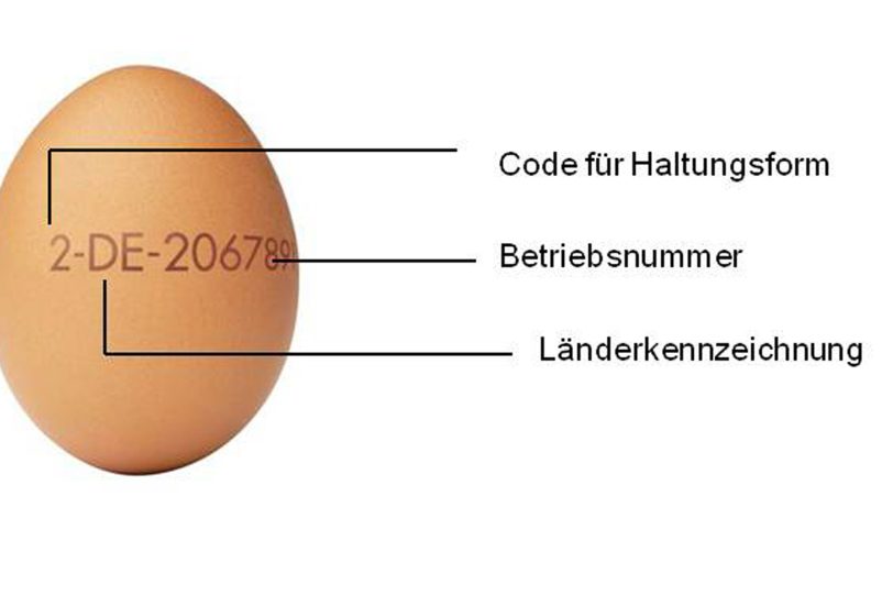 Die aufgestempelte Nummer schafft mehr Klarheit beim Einkauf über Erzeugerland und Haltungsform.