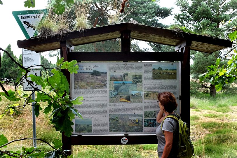 Naturschutzgebiet Westruper Heide