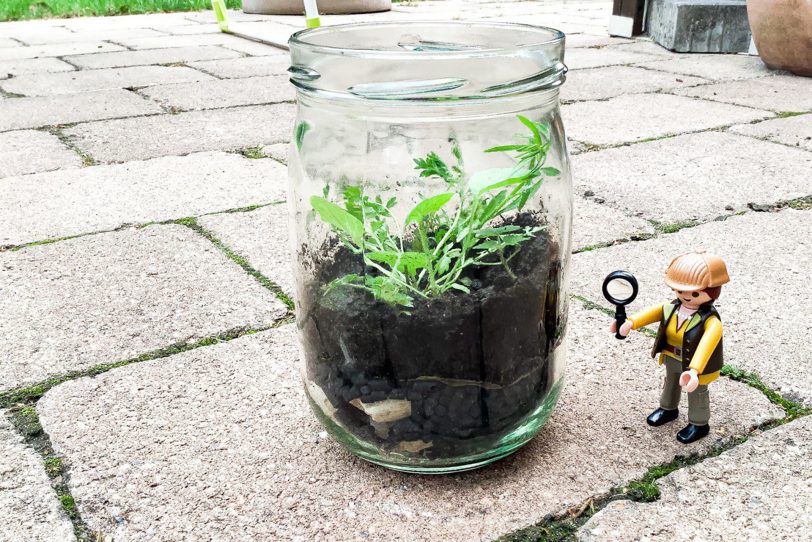 Sommerferien wurden durch katholische Jugendverbände Zuhause kreativ umgesetzt: Glühwürmchen-Gläser.