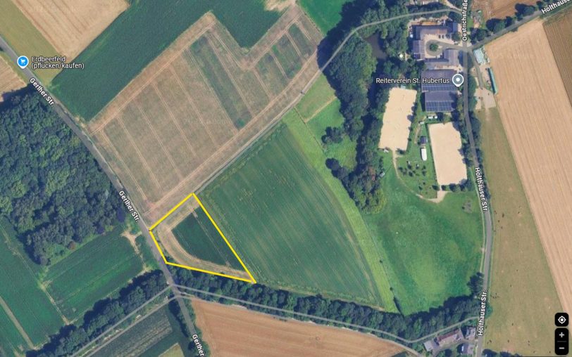 Der neue Bürgerblühstreifen im Bereich des gelben Vierecks an der Gerther Straße, einige Meter schräg gegenüber von der Hausnummer 140.