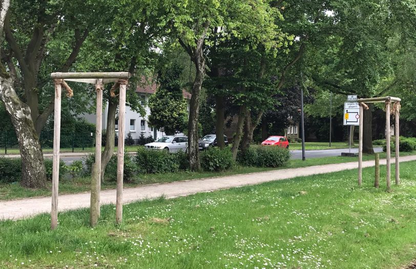 Abgesägte Bäume an der Von-Waldthausen-Straße.