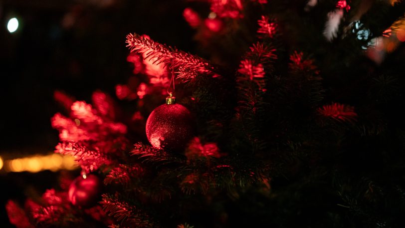 Der wewole-Adventsmarkt auf dem Gelände der Gärtnerei und Floristik an der Nordstraße lud an zwei Tagen zum Stöbern nach Geschenkideen ein.