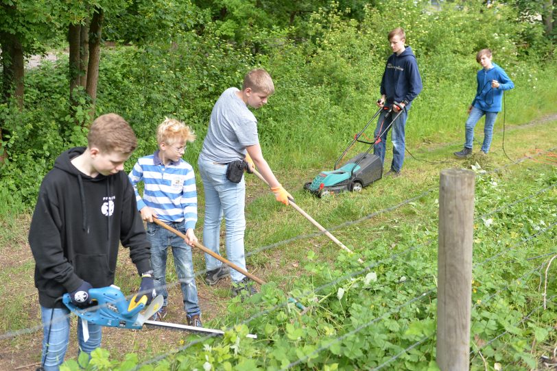 Caritas Möbelhof: ehrenamtliche Arbeit am Außengelände.