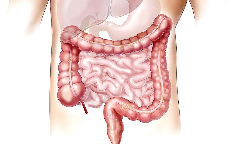 Die Selbsthilfegruppe für Menschen mit einer viszeralonkologischen Erkankung Der Bauch trifft sich.