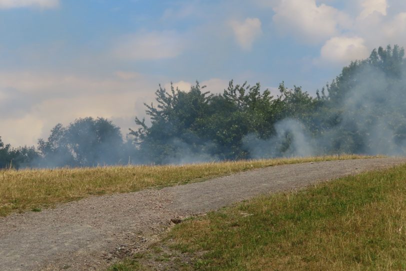 Flächenbrand: Königsgruber Park.