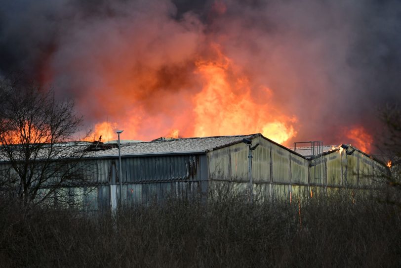 Einsatz der Feuerwehren des Kreises Recklinghausen und der Stadt Herten bei dem Großbrand der Lagerhalle der Hagebau Logistik in Herten (NW), am Sonntag (01.03.2020).