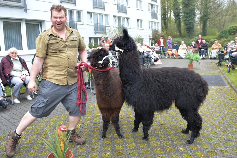 Martin Tränkler mit den Alpakas Jorge und Lambi.