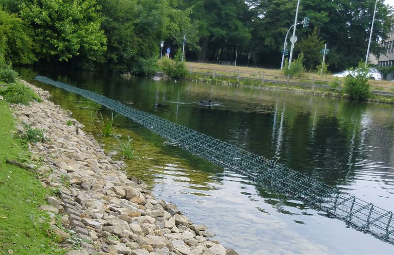 Während der Bürgersprechstunde im Juni 2020 von Mathias Grunert berichtete Stadtgrün-Mitarbeiter Thilo Sengupta von einer zusätzlichen Uferbepflanzung am Ostbachteich.