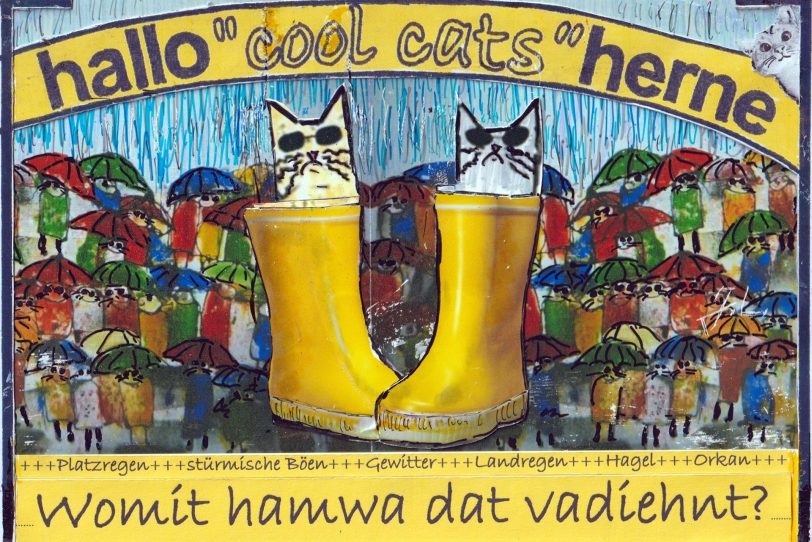 Unsere Cool Cats sitzen schon in den Gummistiefeln und warten sehnsüchtig auf den Kirmesbeginn.