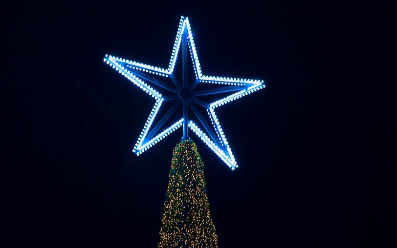 Es werden Weihnachtsbäume aufgestellt (Symbolbild).