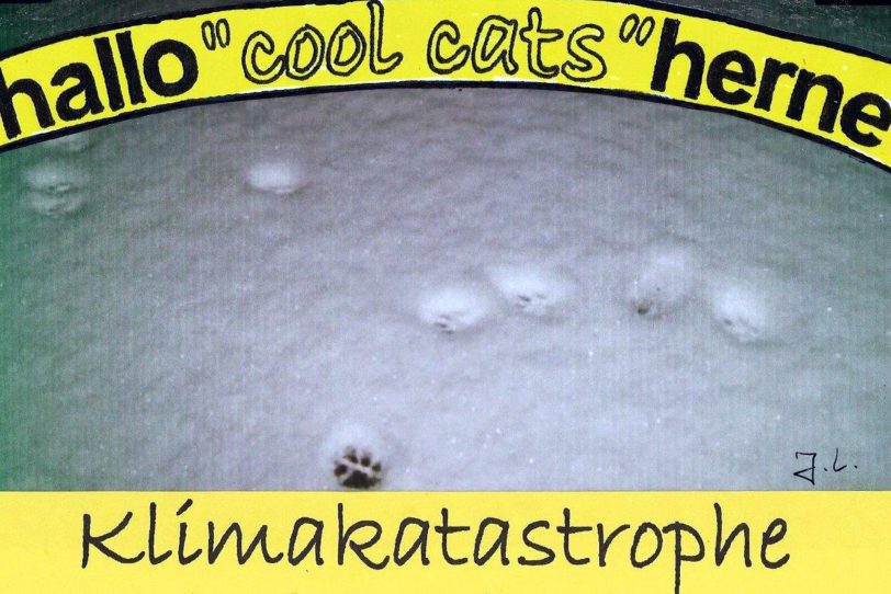 cool cats im Schnee.