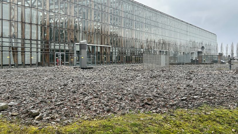 Die Grauwackefelder an der Akademie Mont-Cenis kommen nun weg.