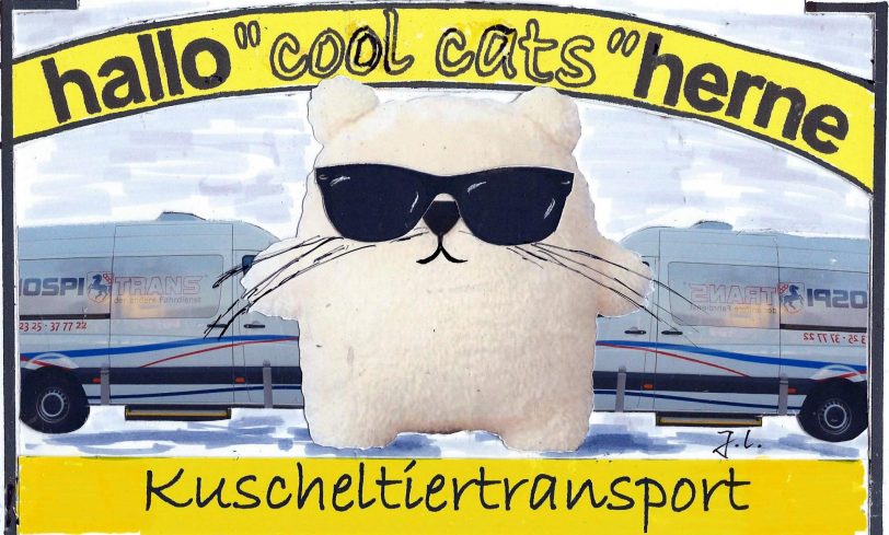 DIe Cool Cats beim Kuscheltrietransport.