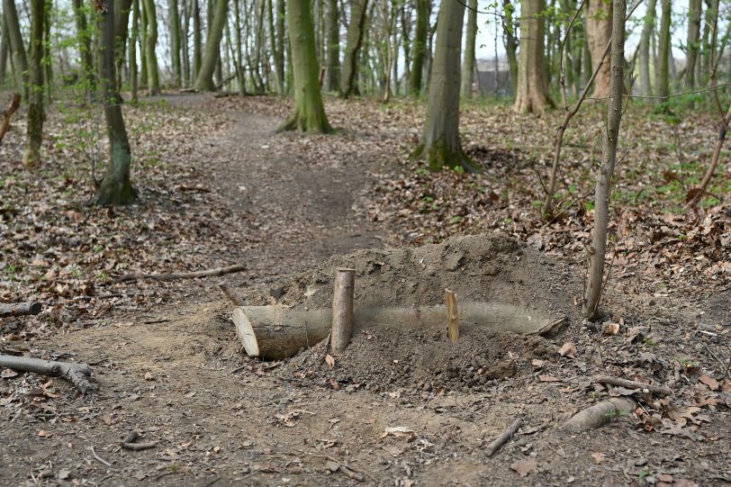 Präparierte Strecke in dem Waldgebiet hinter der Hügelstraße.