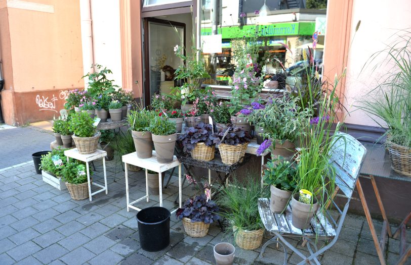 Nicht nur Blumen machen eine Nachbarschaft lebendig – Hilfe kann unterschiedlich aussehen.