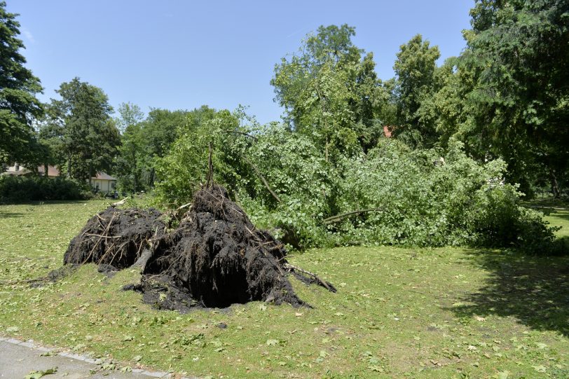 Sturmschäden in Herne.