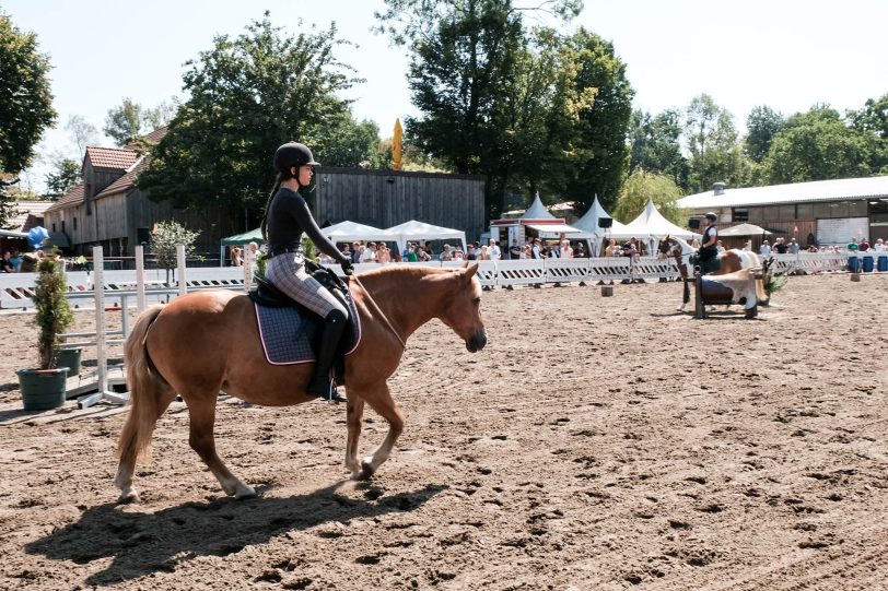 Pferdemarkt auf Gut Steinhausen.