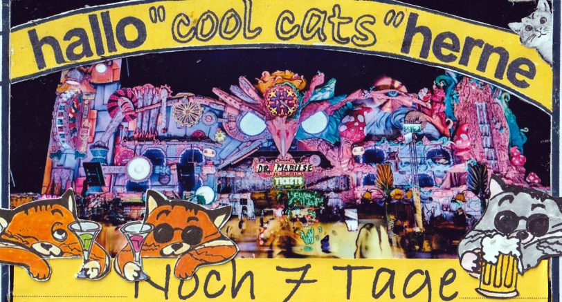 Noch sieben Tage bis Crange – unsere Cool Cats laufen sich warm.