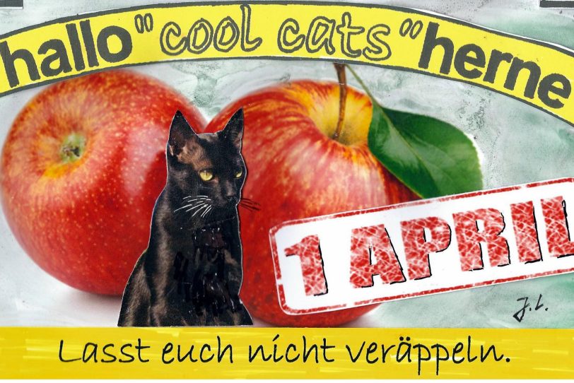 Die Cool Cats haben einen heißen Tipp für heute, Mittwoch. 1. April, parat.