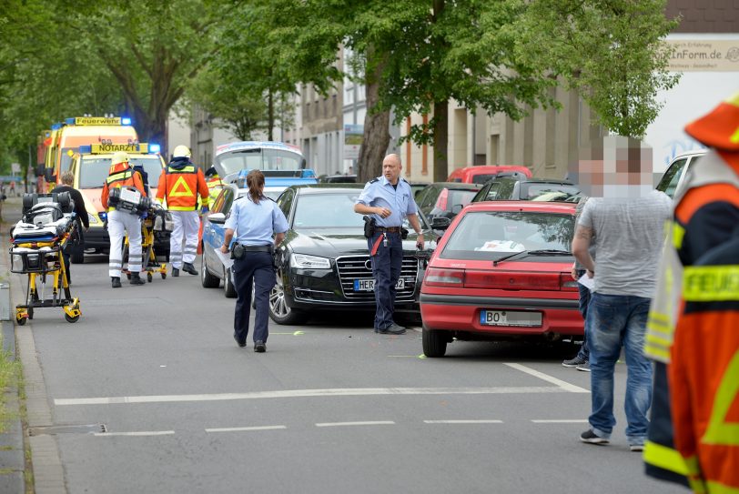 Spinne löst Verkehrsunfall aus.