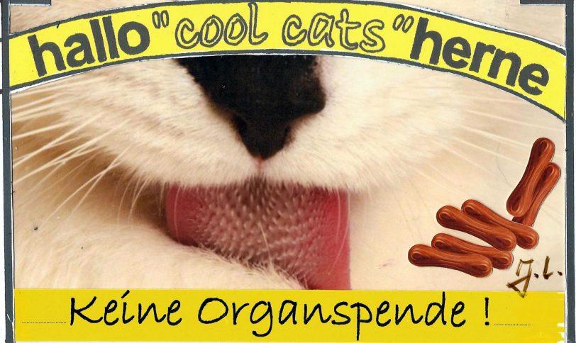 Cool Cats zur Organspende.