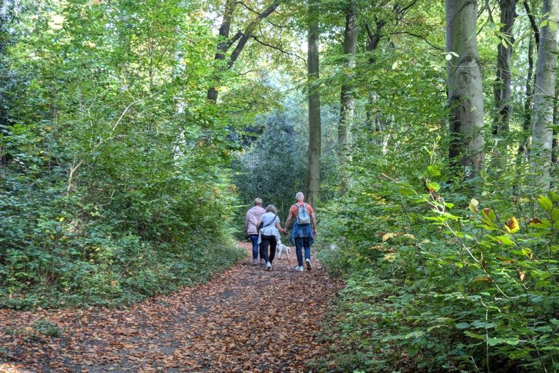 Herbstlicher Spaziergang im Gysenberg-Wald. Einzelne Jogger, Spaziergänger mit und ohne Hund, mit Pferd oder Kinderwagen genießen im Oktober 2024 eine kleine Auszeit vom hektischen Alltag.