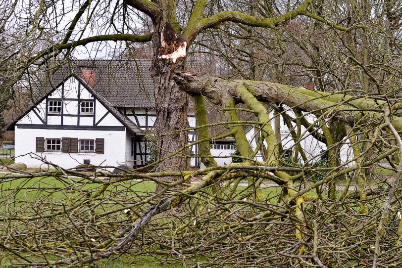 Auch ein Baum vor dem Schollbrockhaus war vom Sturm betroffen. Dieses Foto schickte uns halloherne-Leser Dirk Meyer.