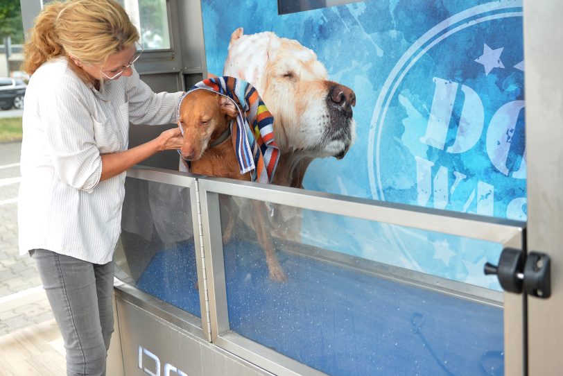 In Wanne-Eickel gibt es die erste Hundewaschanlage auf dem Gelände des Autowaschcenters Klaeser an der Dorstener Straße. im Bild: Hündin Luna mit Frauchen Anne, die die Waschanlage ausprobieren.