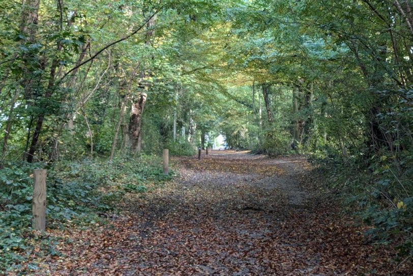 Herbstlicher Spaziergang im Gysenberg-Wald. Einzelne Jogger, Spaziergänger mit und ohne Hund, mit Pferd oder Kinderwagen genießen im Oktober 2024 eine kleine Auszeit vom hektischen Alltag.