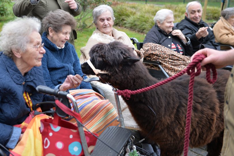 Martin Tränkler mit seinem rollenden Zoo im AWO-Heim an der Burgstraße.