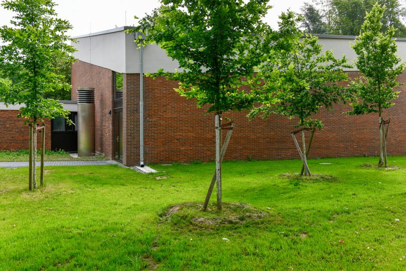 Unter diesen frisch gepflanzten Bäumen in Gelsenkirchen an der Lukaskirche befinden sich Rigolen: Das sind unterirdische Speicher, in denen das Regenwasser, das von der Dachfläche kommt, gespeichert wird. Dann kann es zur Bewässerung der Bäume dienen oder nach und nach ins Grundwasser sickern.