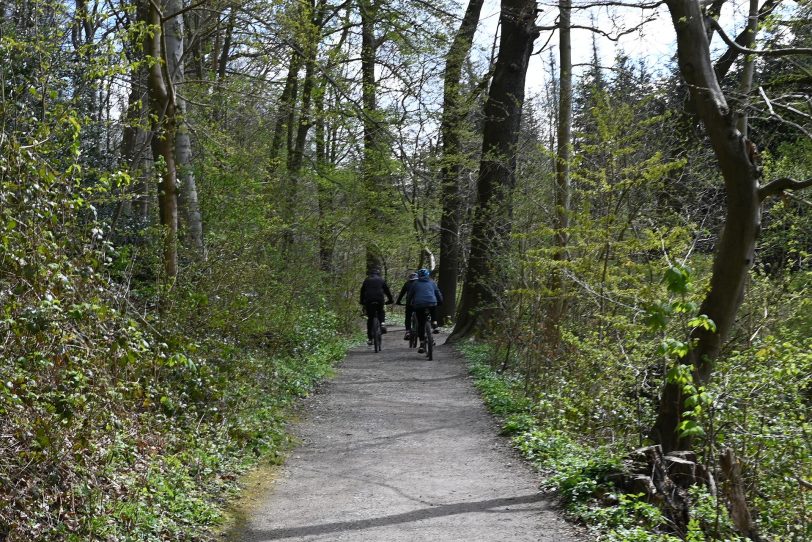 Mountainbiker im Gysenberg.