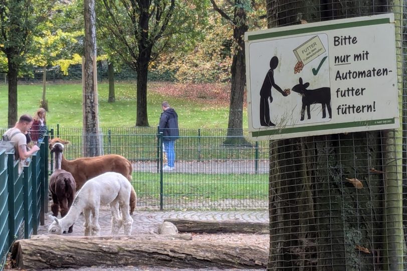 Herbstlicher Spaziergang im Gysenberg-Wald. Einzelne Jogger, Spaziergänger mit und ohne Hund, mit Pferd oder Kinderwagen genießen im Oktober 2024 eine kleine Auszeit vom hektischen Alltag.