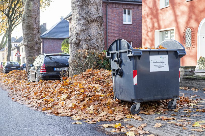 Laub und Laubcontainer.