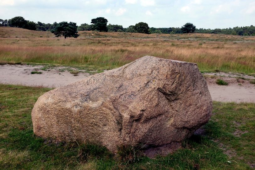 Naturschutzgebiet Westruper Heide