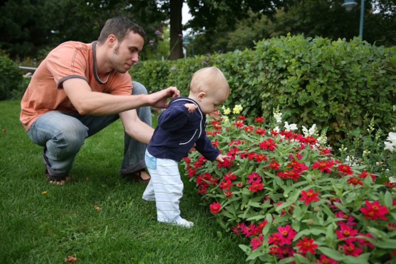 Zum Beginn der Gartensaison sollten sich die Hobbygärtner in Herne unbedingt vor dem Bepflanzen der heimischen Blumenbeete aber auch beim Kauf von Zimmerpflanzen darüber informieren, welche Pflanzen giftig sind und somit Gesundheitsgefahren bergen.