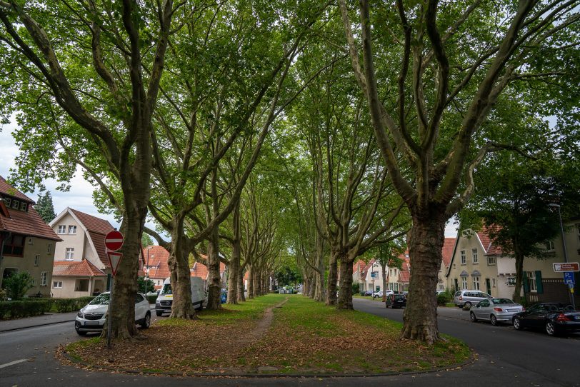 Die Siedlung Teutoburgia ist eines von zwölf Projekten mit denen sich die Stadt an der Bewerbung zum Weltkulturerbe beteiligt hat.