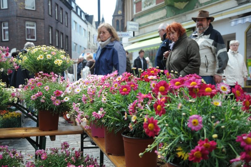 Blumenmarkt .