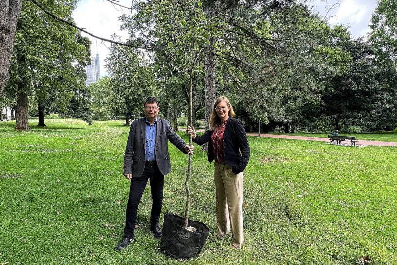 Horst Fischer, Geschäftsführer IGA Metropole Ruhr 2027, und RVR Beigeordnete Nina Frense mit einem Klimabaum.