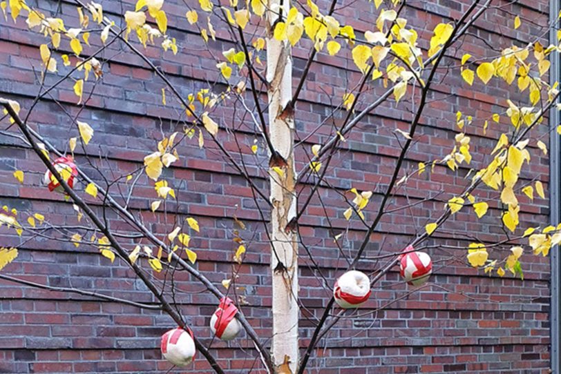 Martins Baum