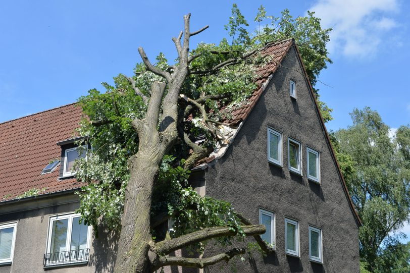 Was tun bein Naturgewalten? Richtig versichert?
