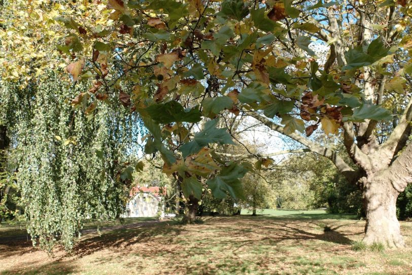 Herbst in Herne