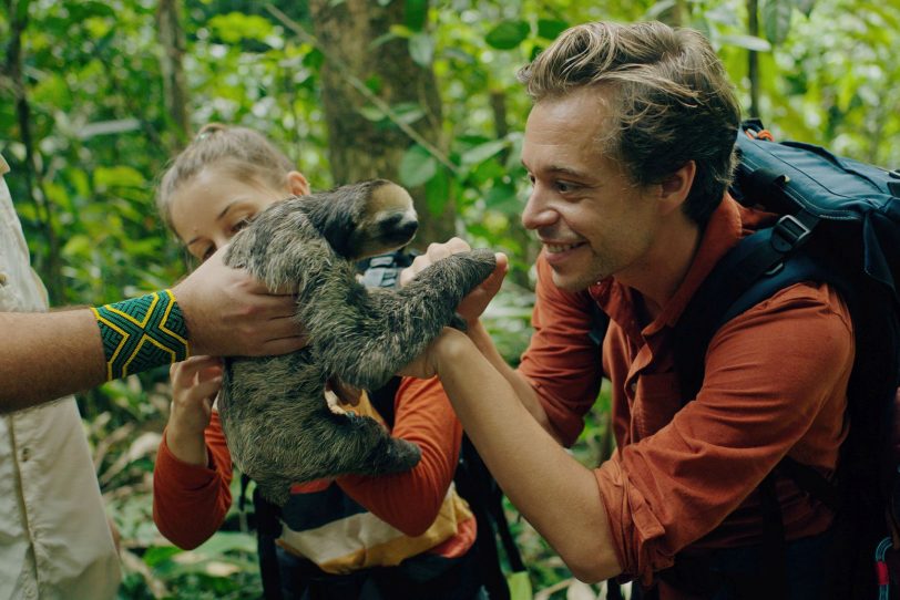 Kinofilm Checker Tobi mit einem Faultier im brasilianischen Regenwald. Die haben richtig Kraft und können ordentlich zupacken.