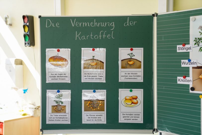 Tag der offenen Tür in der Michaelschule am Freitag, 16. September 2020.