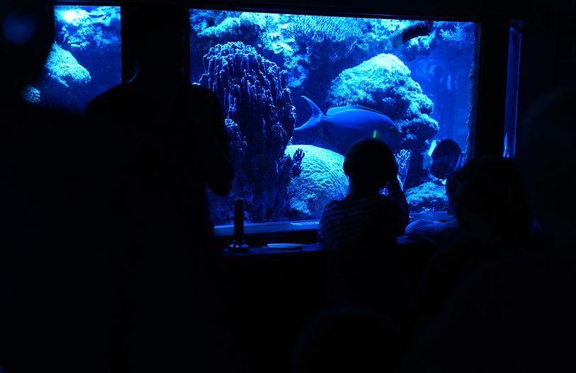 Der Tierpark Bochum lädt zur „Nacht der Natur“ ein.