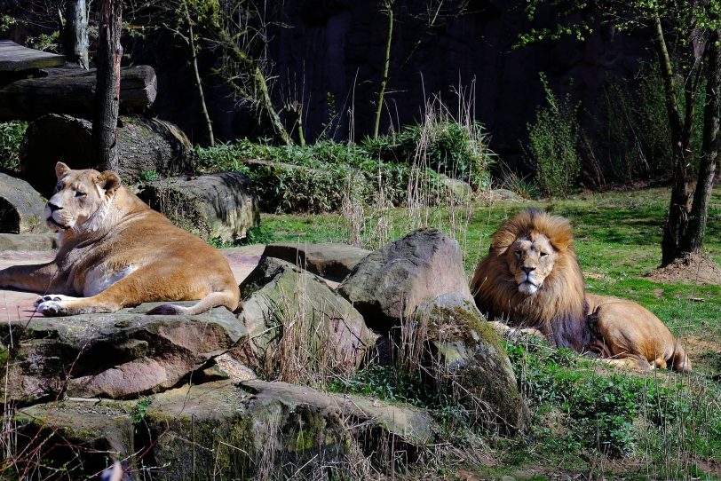 Tierwelt in der Zoom Erlebnis-Welt.